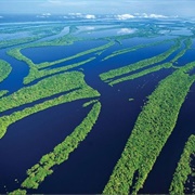 Anavilhanas Archipelago, Brazil