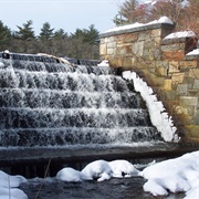 Bristol Blake State Reservation, Norfolk, MA