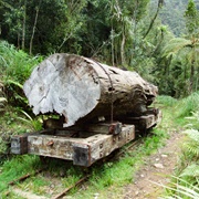 Waitawheta Hut via Tramline