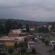 Embassy Suites, Tukwila WA