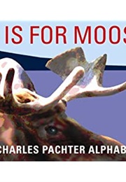 M Is for Moose (Charles Pachter)