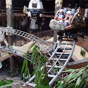 Winja's Fear & Force