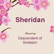 Sheridan