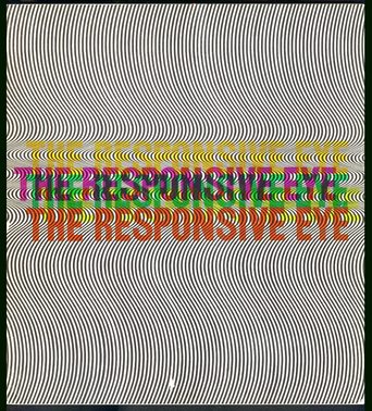 The Responsive Eye (1966)