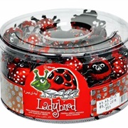 Elvan Ladybird Chocolates