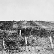 Drocourt-Queant Line