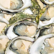Duxbury Oyster