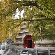 Zhenjue Temple, Beijing