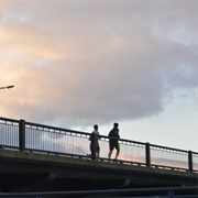 Mass Ave Bridge (Harvard Bridge)