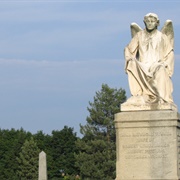 Albany Rural Cemetery