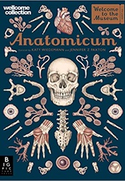 Anatomicum (Jennifer Z Paxton)