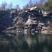 Freetown Fall River State Forest, Massachusetts