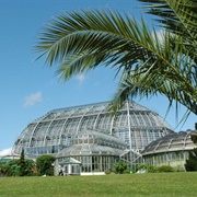 Botanical Garden and Botanical Museum