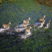 Maun (Okavango Delta), Botswana