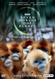 Seven Worlds, One Planet (2019)