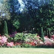 Sherwood Gardens, Baltimore