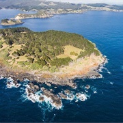 Motueka Island