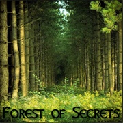 Healing Elves-Derek Fietcher