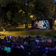 Attend a Movie Festival