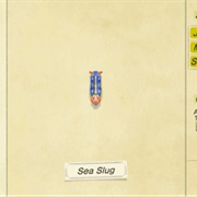 Sea Slug