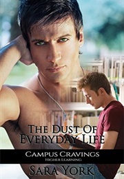 The Dust of Everyday Life (Sara York)