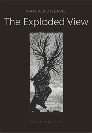 The Exploded View (Ivan Vladislavić)