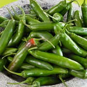 Serrano Pepper