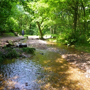 Downs Banks, Stone, Staffordshire