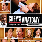 Grey's Anatomy Season 5