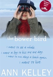The Bowerbird (Ann Kelley)