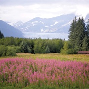 New Russia Site (Yakutat)