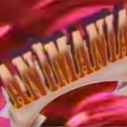 MTV's Animania
