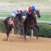 Oaklawn Park, AR