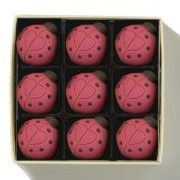 Choconchoc Love Bugs