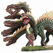 Hydra