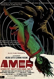 Amer (2009)