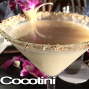 Cocotini