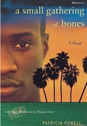 A Small Gathering of Bones (Patricia Powell)