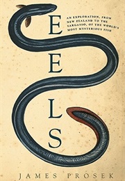 Eels (James Prosek)
