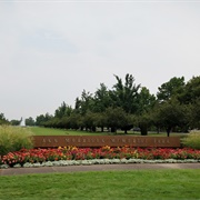Ann Morrison Park