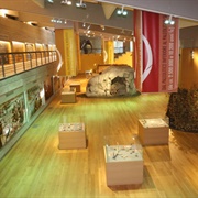 Museo Paleolitico Di Isernia