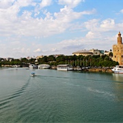 Canal De Alfonso XIII
