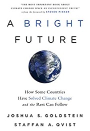 A Bright Future: How Some Countries Have Solved Climate Change and the Rest Can Follow (Joshua S. Goldstein)