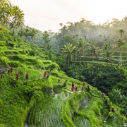 Ubud (Bali), Indonesia