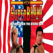 WCW Superbrawl I (1991)