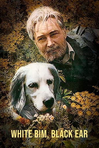 White Bim Black Ear (1977)