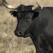 When He Starts Eyeballing You, MN