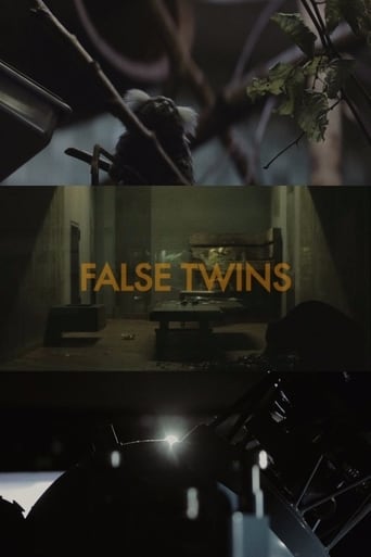 False Twins (2014)