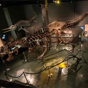 Natural History Museum