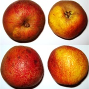 Karmijn De Sonnaville